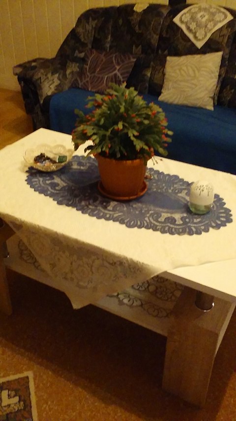 Vásárlói vélemény