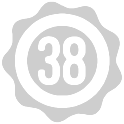 38 napos garancia