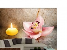 Orchidea fotótapéták