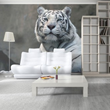 Tigris tapéta poszter