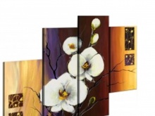 Orchidea