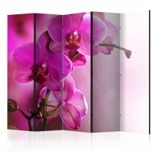 Paraván - Rózsaszín orchideák IV