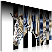 Kép - A magányos zebra