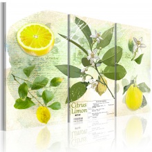 Kép - Citromok
