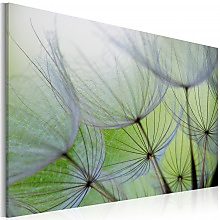 Kép - Dandelion in the wind