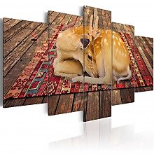 Kép - Domestication - 5 pieces