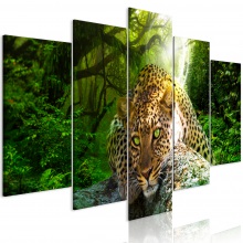 Kép - Lapuló Leopárd 1