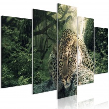 Kép - Lapuló Leopárd 3