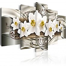 Kép - Narcissi