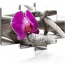 Kép - Orchid on beach