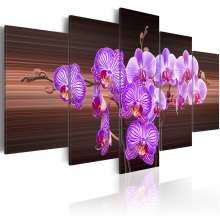 Kép - Orchidea érintés
