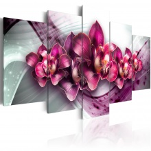 Kép - Orchideák birodalma 1
