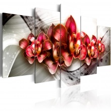 Kép - Orchideák birodalma 2