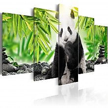 Kép - Panda