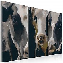 Kép - Piebald cow