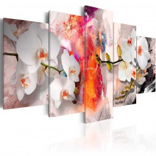 Kép - Színes hátterű Orchideák