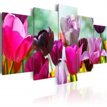 Kép - Vegyes tulipánok 2