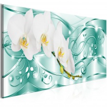 Kép - Virágzó Orchidea 3