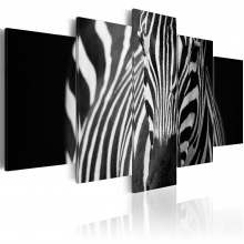 Kép - Zebra fekete fehérben 2