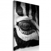 Kép - Zebra szeme
