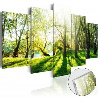Akrilüveg kép - Green Glade [Glass]