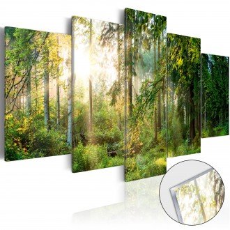 Akrilüveg kép - Green Sanctuary [Glass]