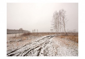 Fotótapéta - A mező télen