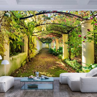 Fotótapéta - A pergola alatt