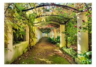 Fotótapéta - A pergola alatt