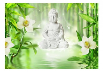 Fotótapéta - Buddha és természet