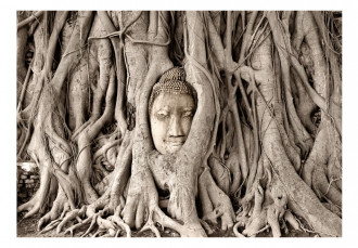 Fotótapéta - Buddha fája