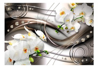 Fotótapéta - Csillogó orchideák