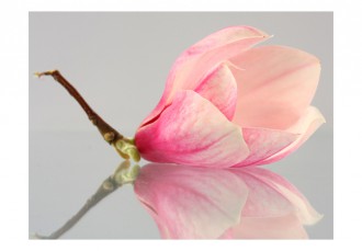 Fotótapéta - Egyedül