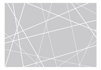 Fotótapéta - Elszakadt háló