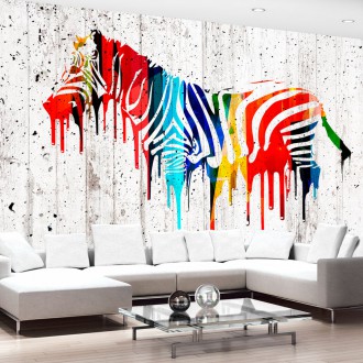 Fotótapéta - Festett színes zebra