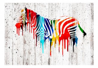 Fotótapéta - Festett színes zebra