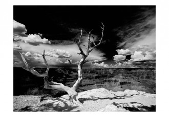 Fotótapéta - Grand Canyon fa