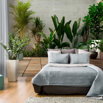 Fotótapéta - Kert a lakásban