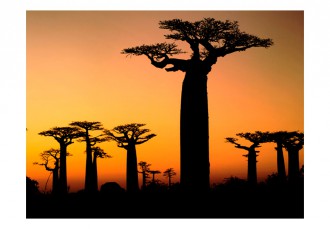 Fotótapéta - Naplemente Afrikában