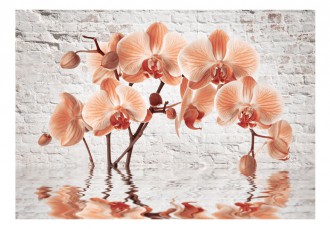 Fotótapéta - Orchideák árnyékában 1