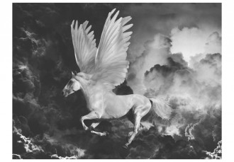 Fotótapéta - Pegasus útban Olimposz