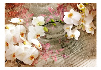 Fotótapéta - Sivatagi Orchidea 2