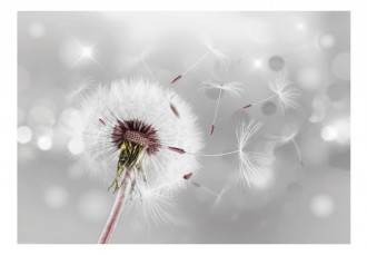 Fotótapéta - Szél viszi