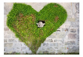 Fotótapéta - Természetes szerelem