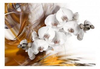 Fotótapéta - Tüzes Orchideák 1