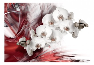 Fotótapéta - Tüzes Orchideák 2