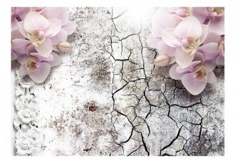 Fotótapéta - Világos piros orchideák