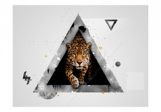 Fotótapéta - Wild absztrakció
