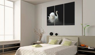 Kép - A lonely white swan