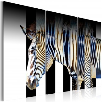 Kép - A magányos zebra